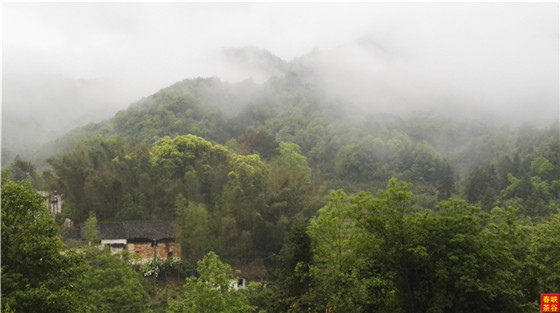 �}�{�ȴ���