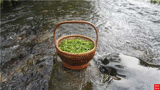 �}�{�ȴ���