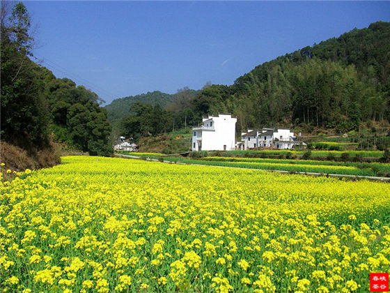 �}�{�ȴ���