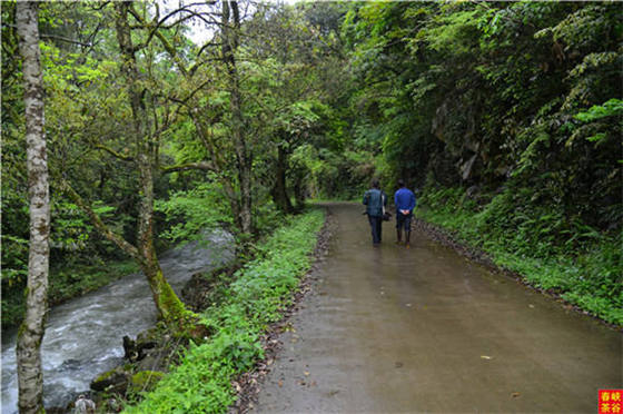 �{�������Դ