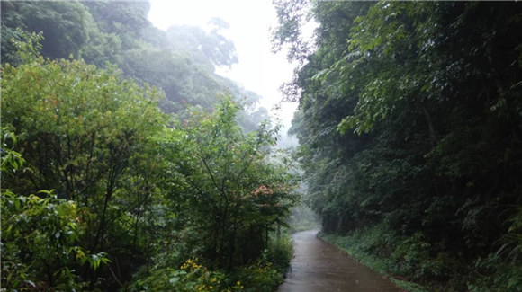 �{�������Դ