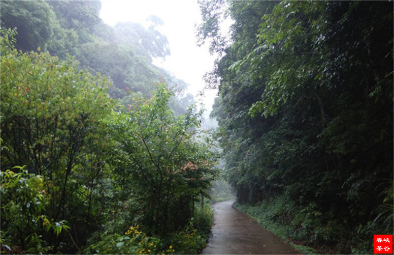 ���]��Դ�{�ȣ��{�ȴ���