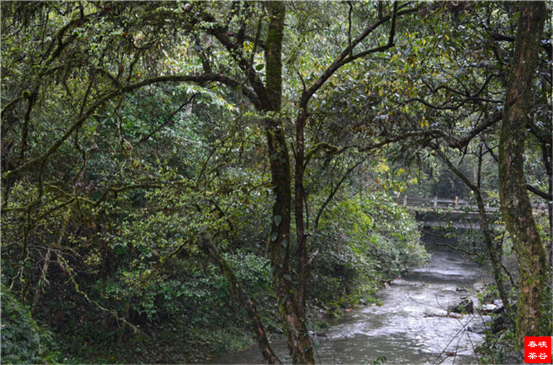 ���]��Դ�{�ȣ��{�ȴ���