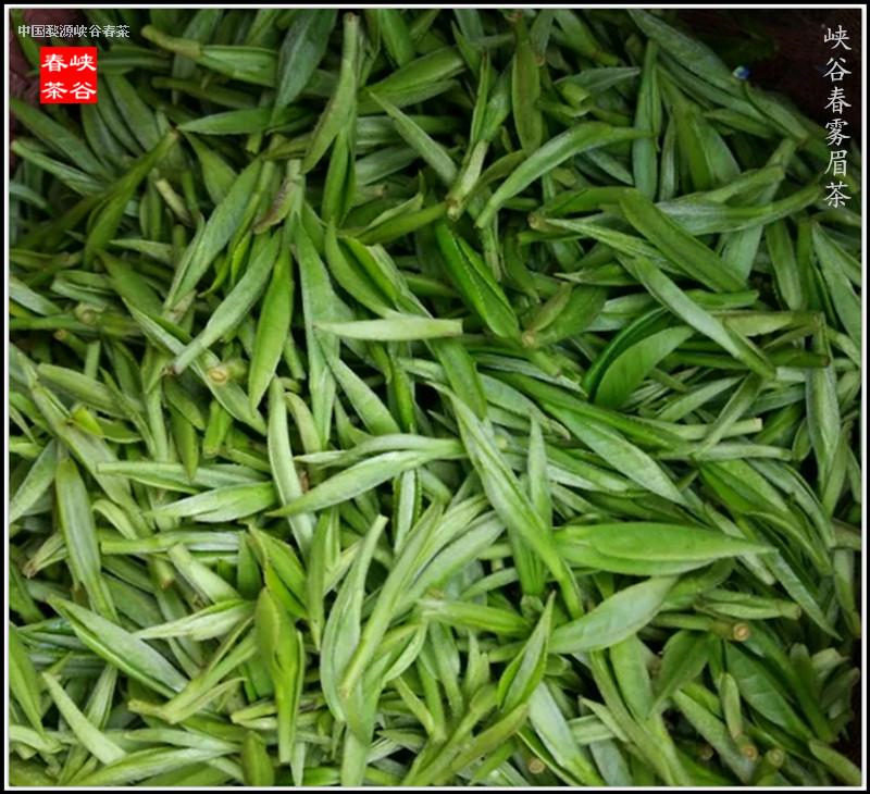 ���{�ȴ��衷