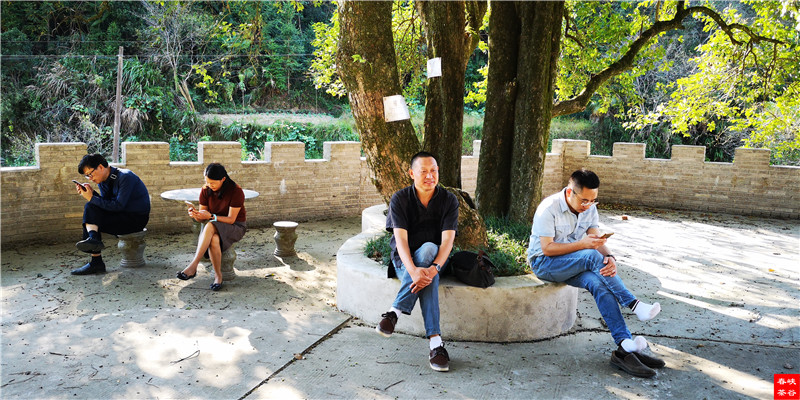 �������ɵ�ֲ��������ף�