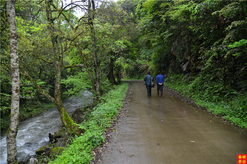 �ò裬����Դ