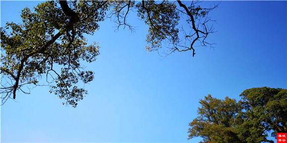 ���L(zh��ng)��Ԋ(sh��)�䡷��M���{�ȴ�����Դ����Ԋ(sh��)��(hu��)