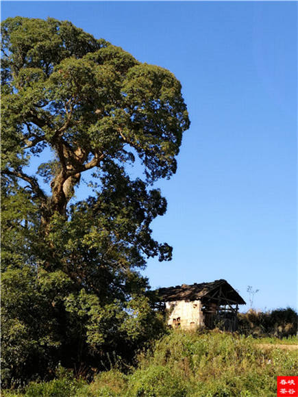 ���L(zh��ng)��Ԋ(sh��)�䡷��M���{�ȴ�����Դ����Ԋ(sh��)��(hu��)