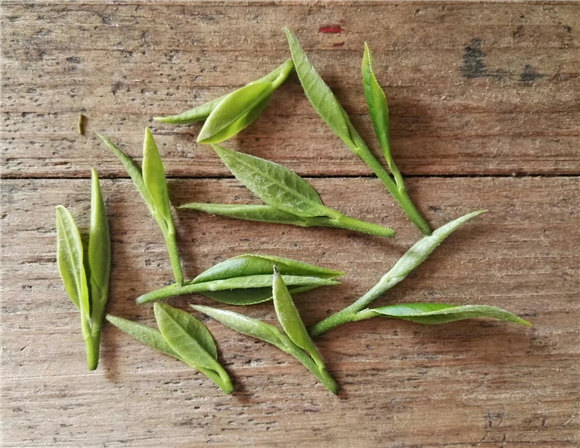 ��һƬ���~���D��