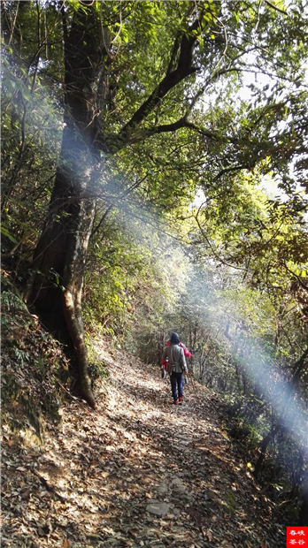 ��Դ����ɽ