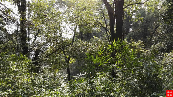 ��Դ����ɽ