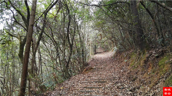 ��Դ����ɽ