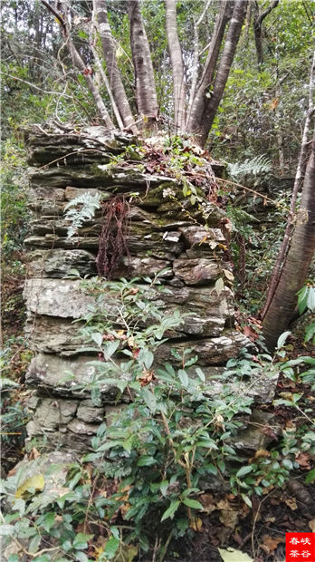 ��Դ����ɽ