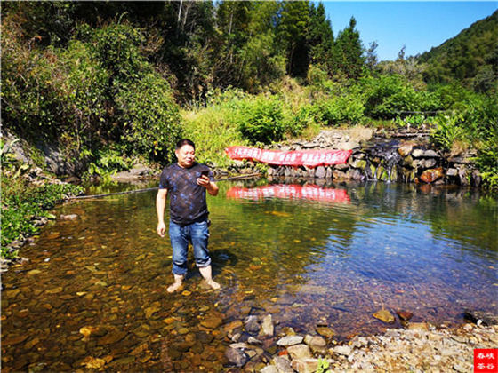 ��һƬ���~���D��