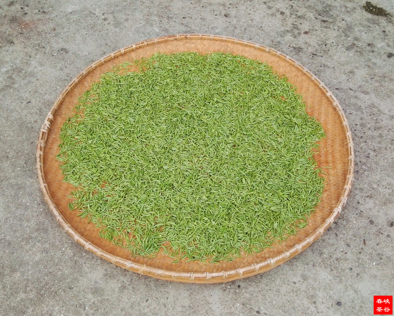 �{�ȴ���ӡ��