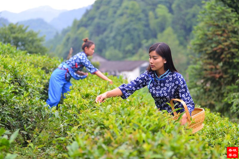 �{�ȴ���ӡ��