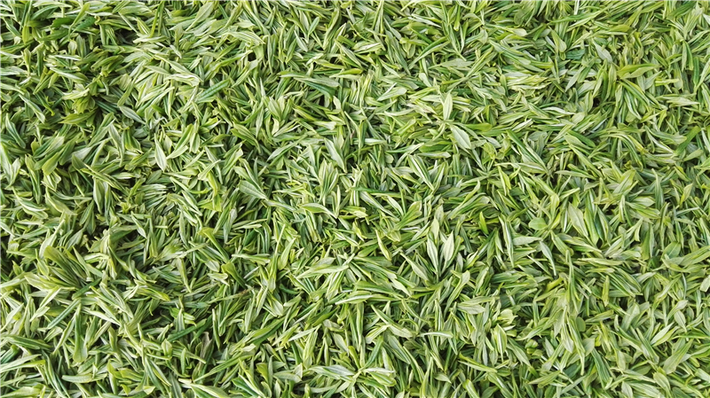 ���~�����ɷݼ���Ч