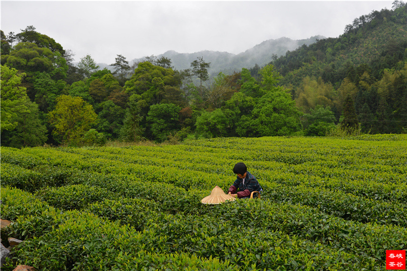 ����ҹ���� �N