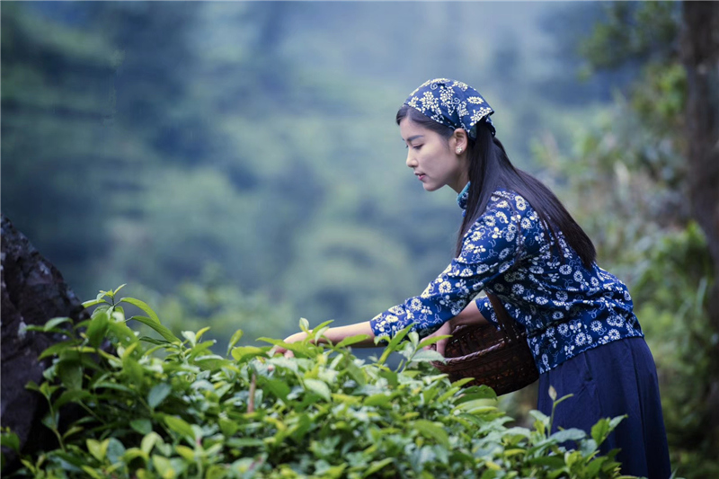 �Ї���c��������Դ�͚vʷ