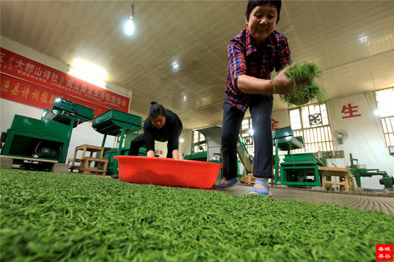 �����F��