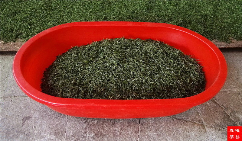 �����F��