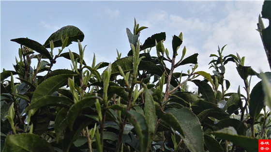 ��һ�غò� �^��׌���ζһ��