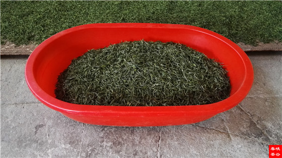 ��һ�غò� �^��׌���ζһ��