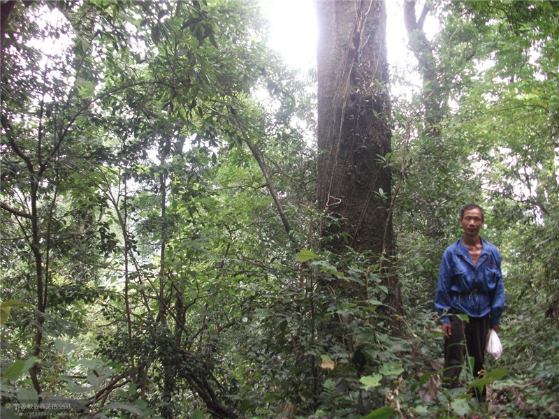 ���öU���zַ