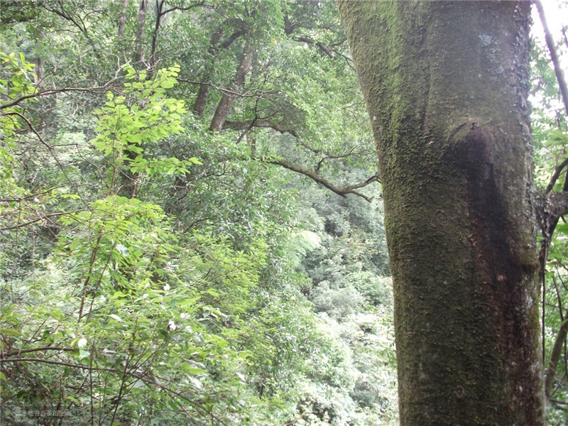 ���öU���zַ