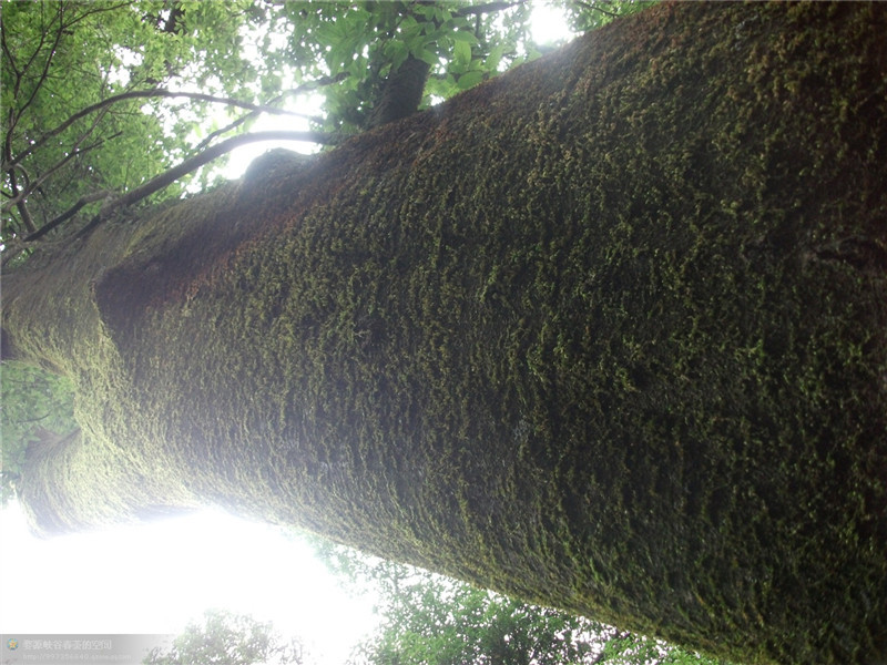 ���öU���zַ