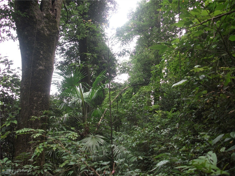 ���öU���zַ