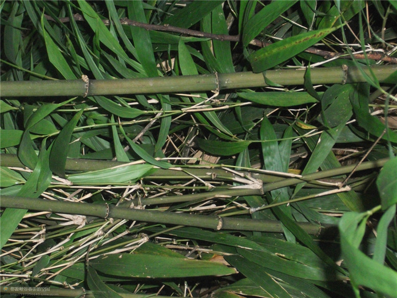 ���öU���zַ