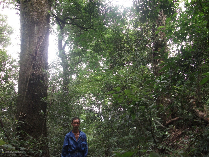 ���öU���zַ