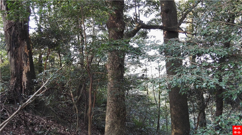 ���öU���zַ