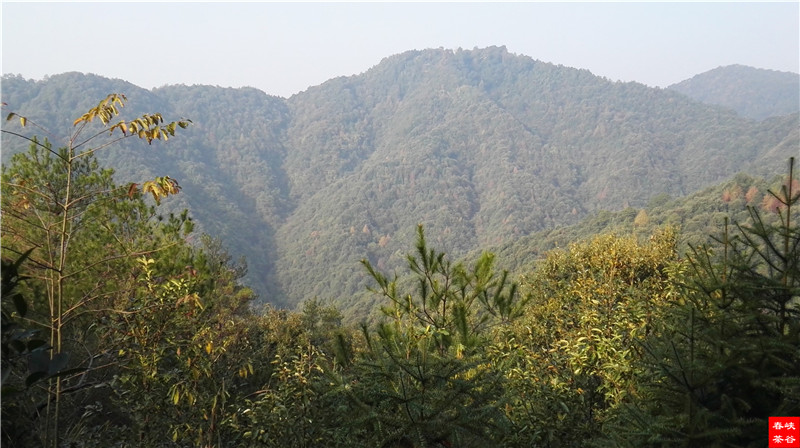 ���öU���zַ