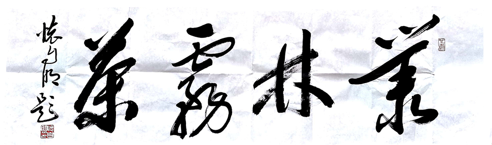 �����ґ������ώ��顰�{�ȴ���������}��