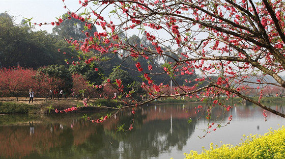 ��ԁ����