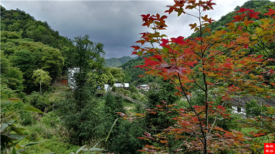 ��ԁ����