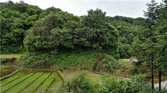 ��ԁ����