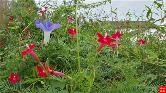 ��ԁ����