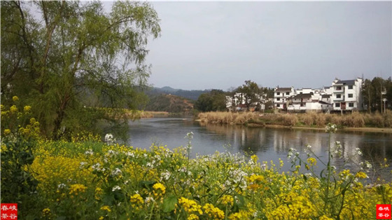 ��������˼�ڣ�