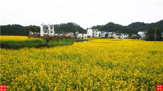 ��������˼�ڣ�