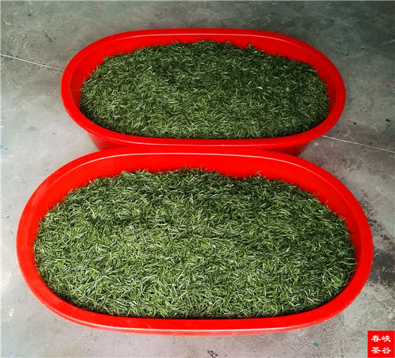 �{�ȴ����~��