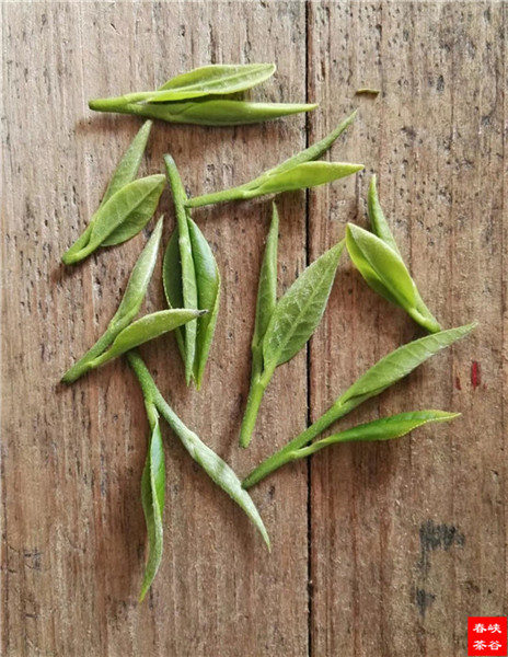 ��Դ�G���ǰ������