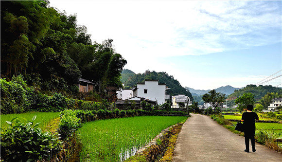 ϲӭ�������ώ������˵�˼����Դ�����и�