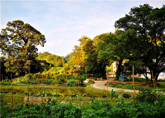 ϲӭ�������ώ������˵�˼����Դ�����и�