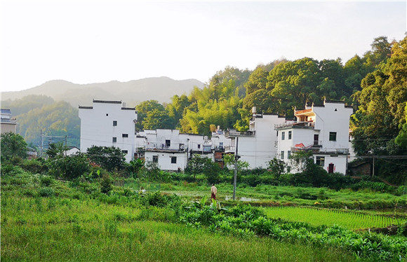 ϲӭ�������ώ������˵�˼����Դ�����и�