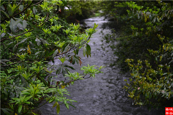 ����؞���ݣ�