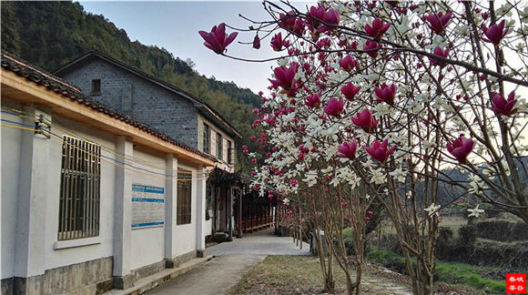 ��Դ����