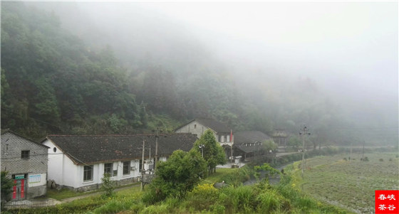 ������Դ